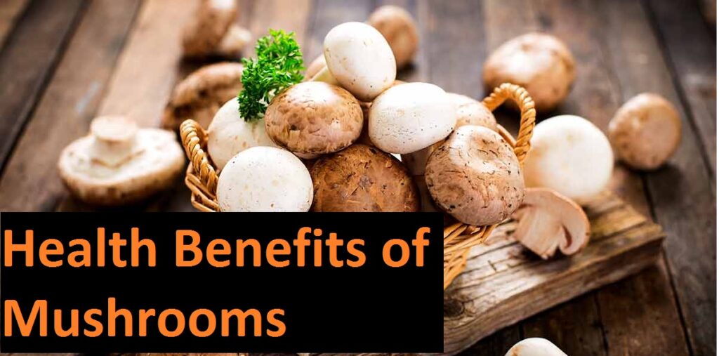 7 most essential health benefits of mushrooms,magic mushrooms depo