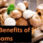 7 most essential health benefits of mushrooms,magic mushrooms depo