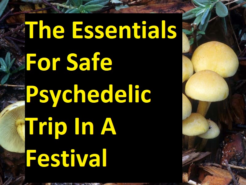 psychedelic trip,mushroom trip, acid trip