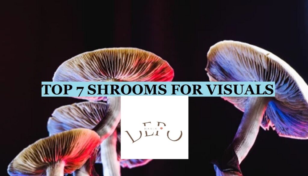 The Top 7 Mushroom Strains for Visuals,visuals,mushrooms,magic,shrooms,top,best vsual mushrooms