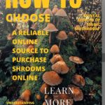 Reliable source to buy magic mushrooms online-where to buy magic mushrooms online-magic mushroom vendors