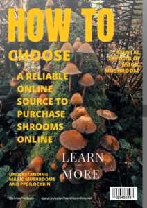How to Choose a Reliable Online Source for Your Magic Mushroom Needs In 2023