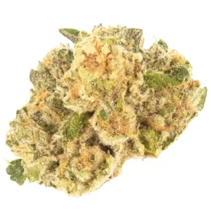 Sour Diesel strain review